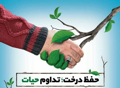 کاشت نهال بمناسبت روز درخت کاری